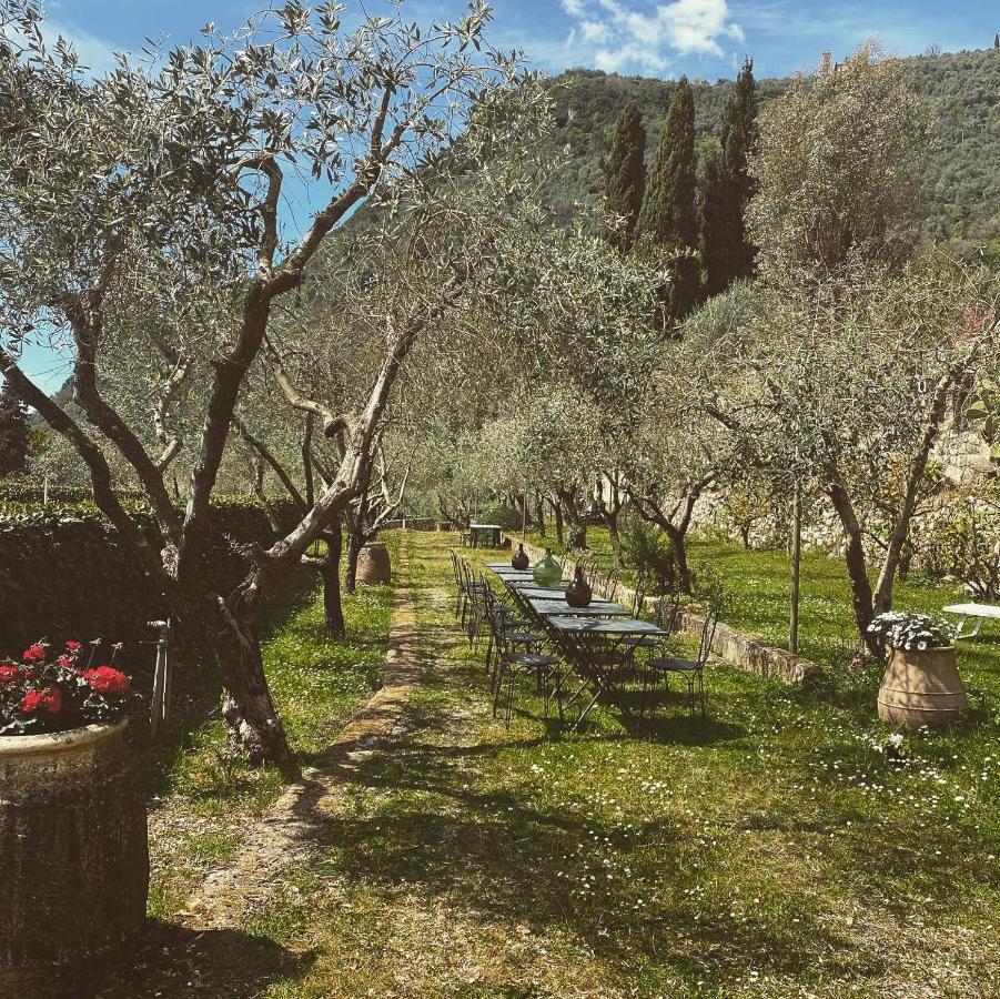 Sotto Il Cielo Di Toscana Appartamenti In Tenuta Only Adults No Pet Camaiore Exterior photo