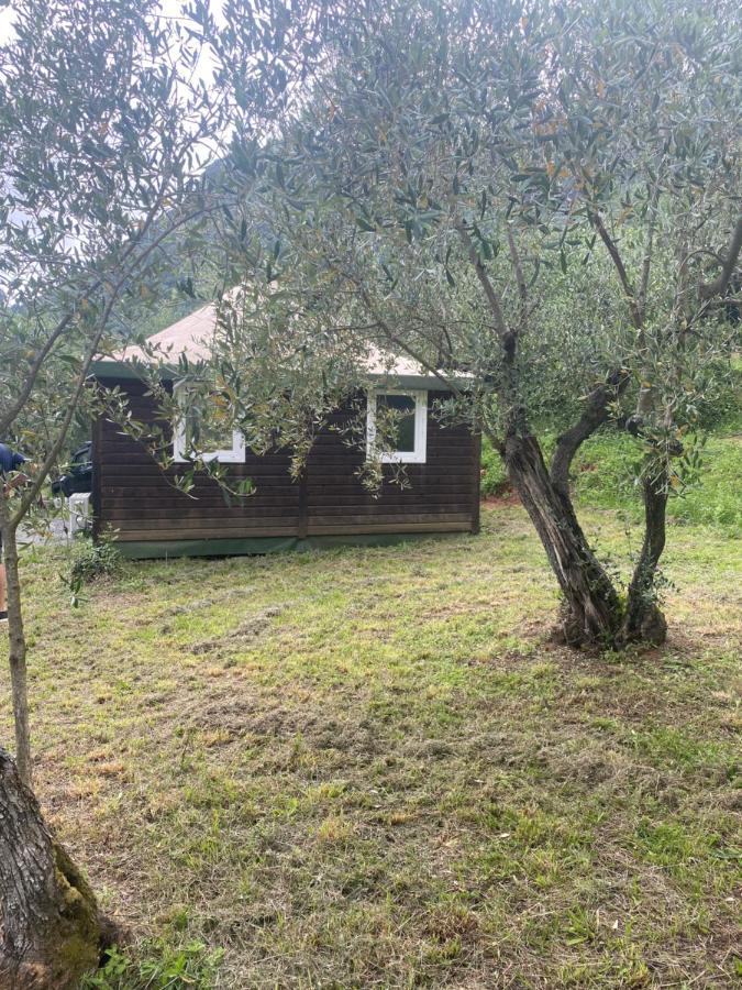 Sotto Il Cielo Di Toscana Appartamenti In Tenuta Only Adults No Pet Camaiore Exterior photo
