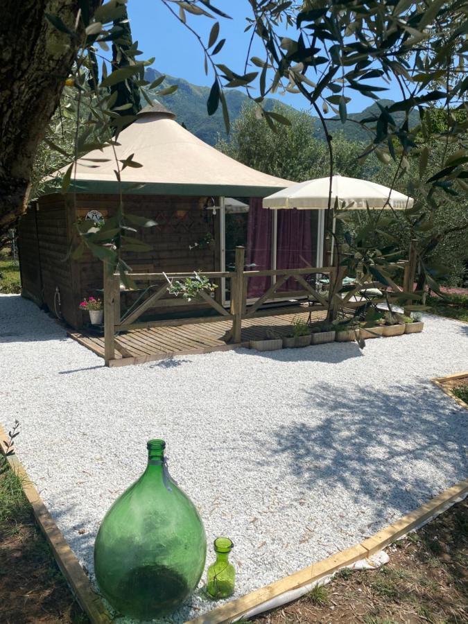 Sotto Il Cielo Di Toscana Appartamenti In Tenuta Only Adults No Pet Camaiore Exterior photo