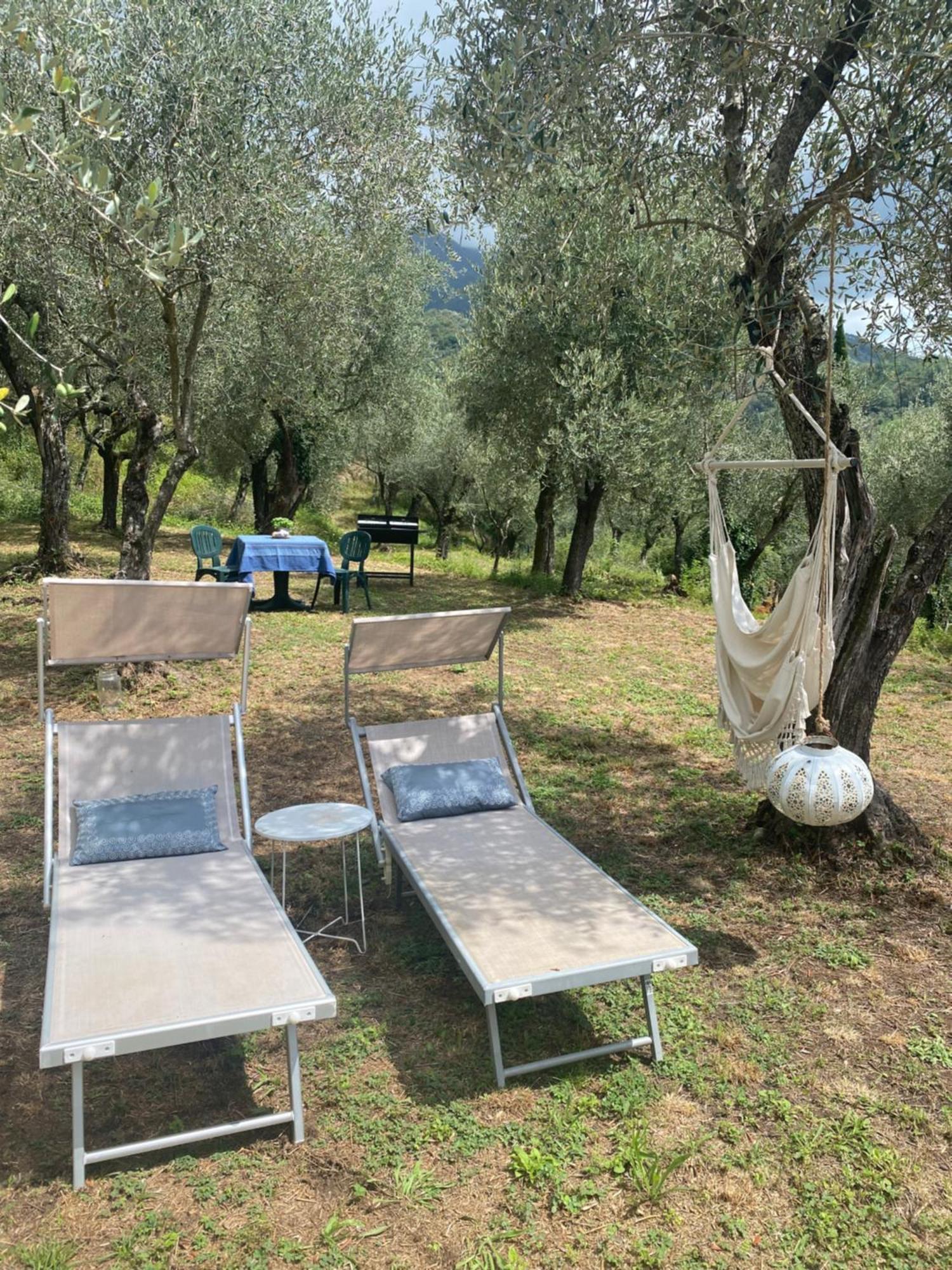 Sotto Il Cielo Di Toscana Appartamenti In Tenuta Only Adults No Pet Camaiore Exterior photo